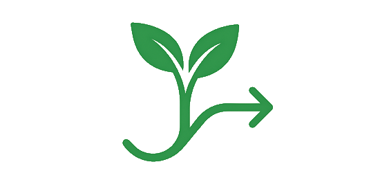 🌱 How to Use LifeRoute